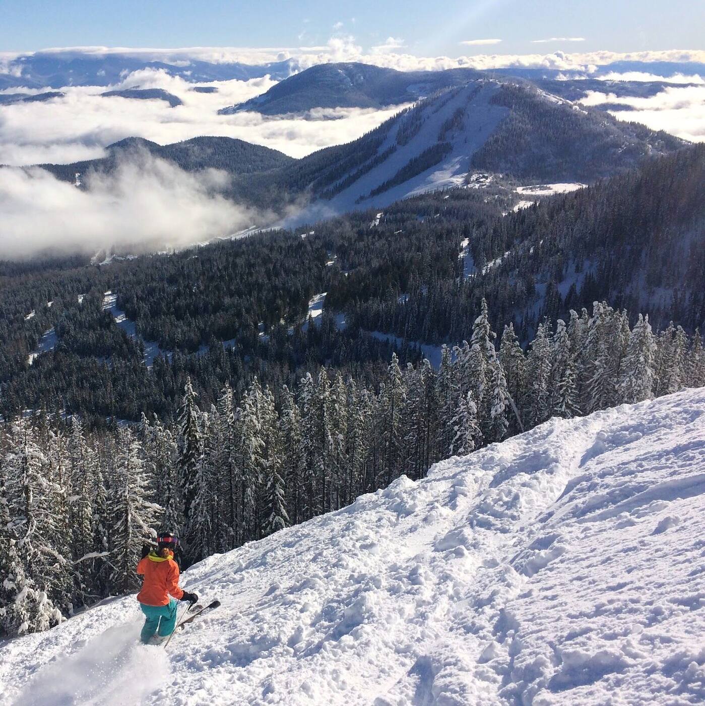 Steep tree skiing terrain across multiple peaks at Red Mountain British Columbia