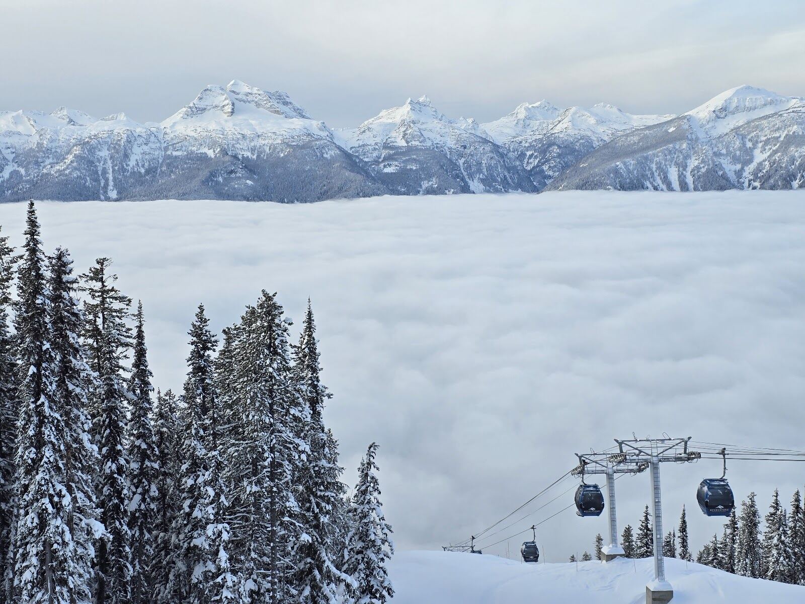 A skier in deep powder among snowy trees at Revelstoke