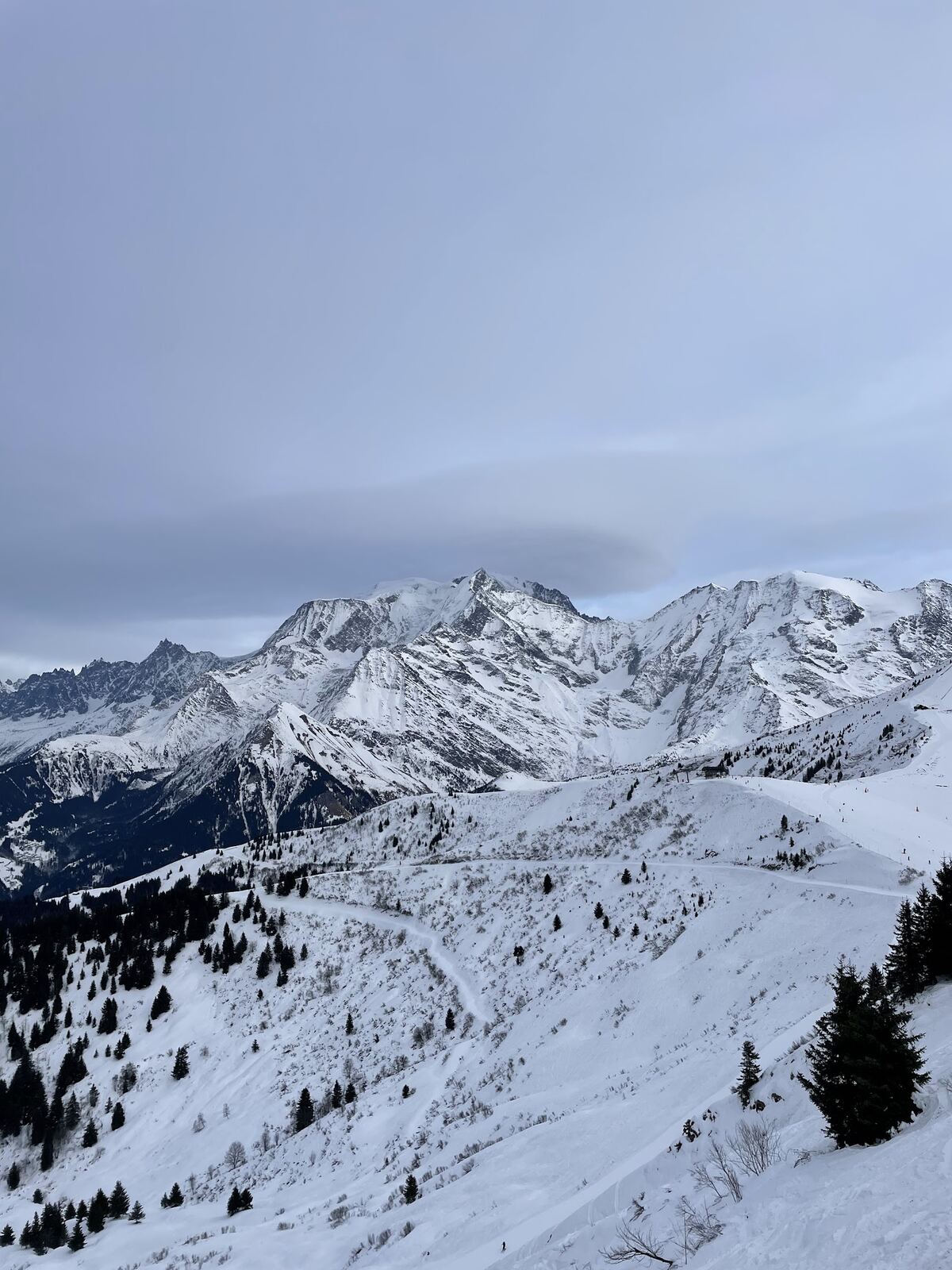 Tree lined ski runs above Le Bettex near Saint Gervais