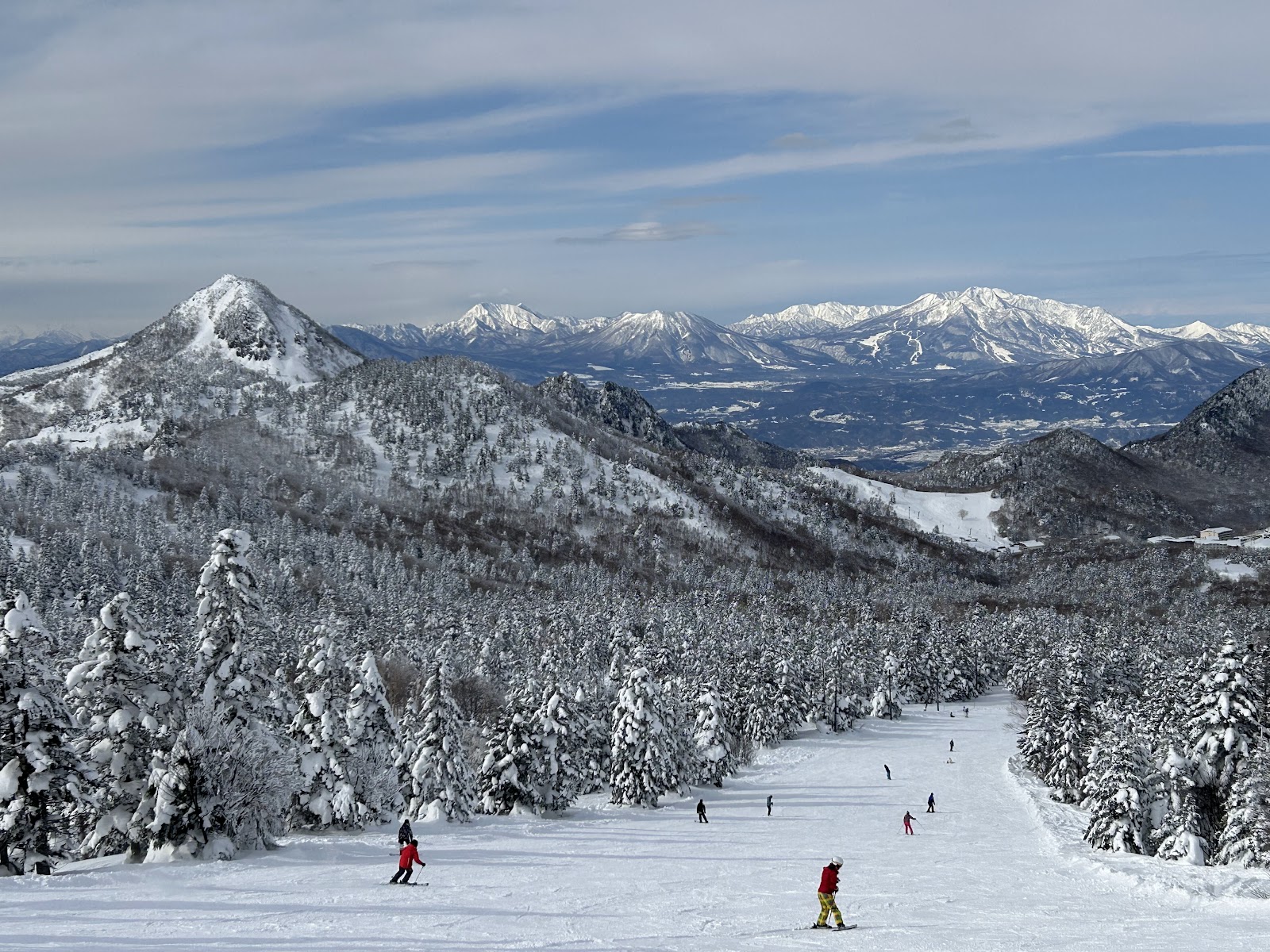 Gentle groomed pistes between snow laden trees at altitude
