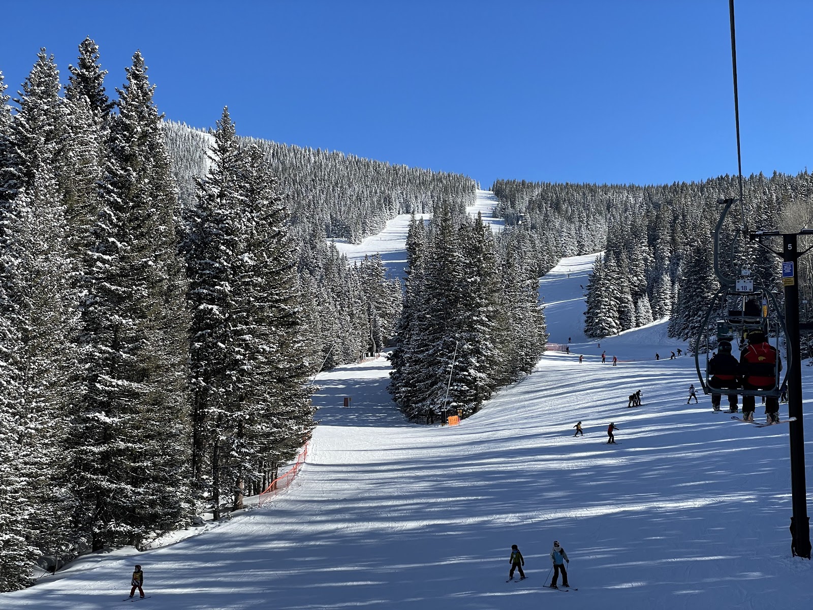 A chairlift over snowy trees at Ski Santa Fe
