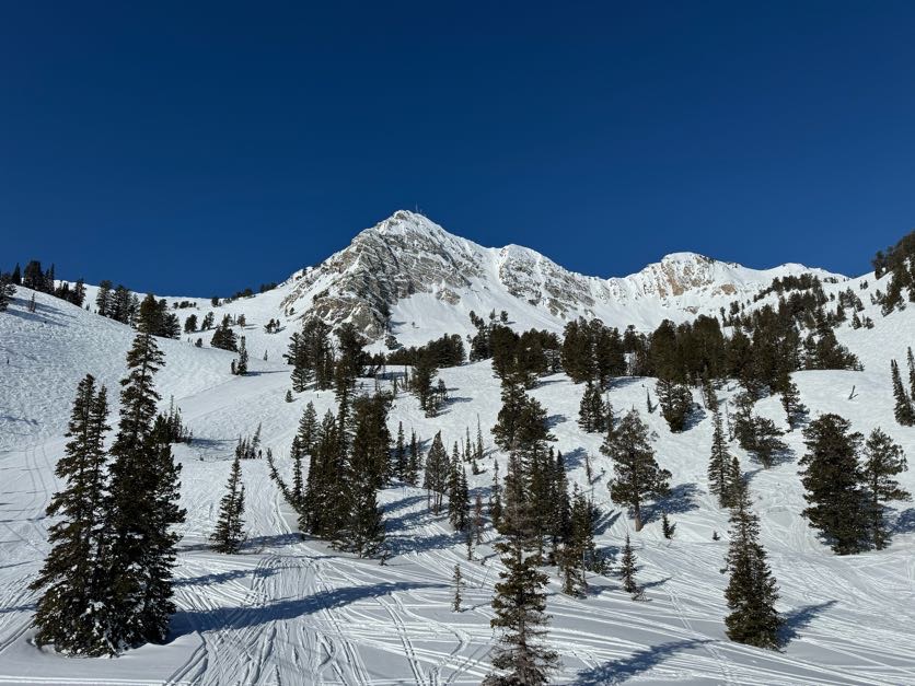A long steep groomed Olympic pitch at Snowbasin