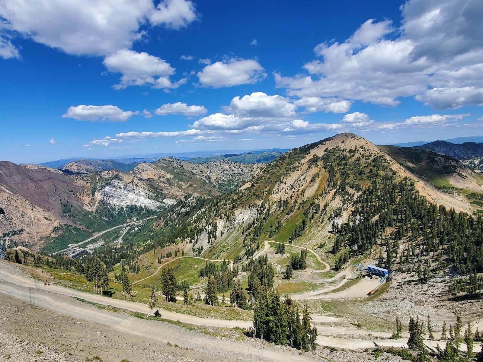Steep open powder terrain in Little Cottonwood Canyon