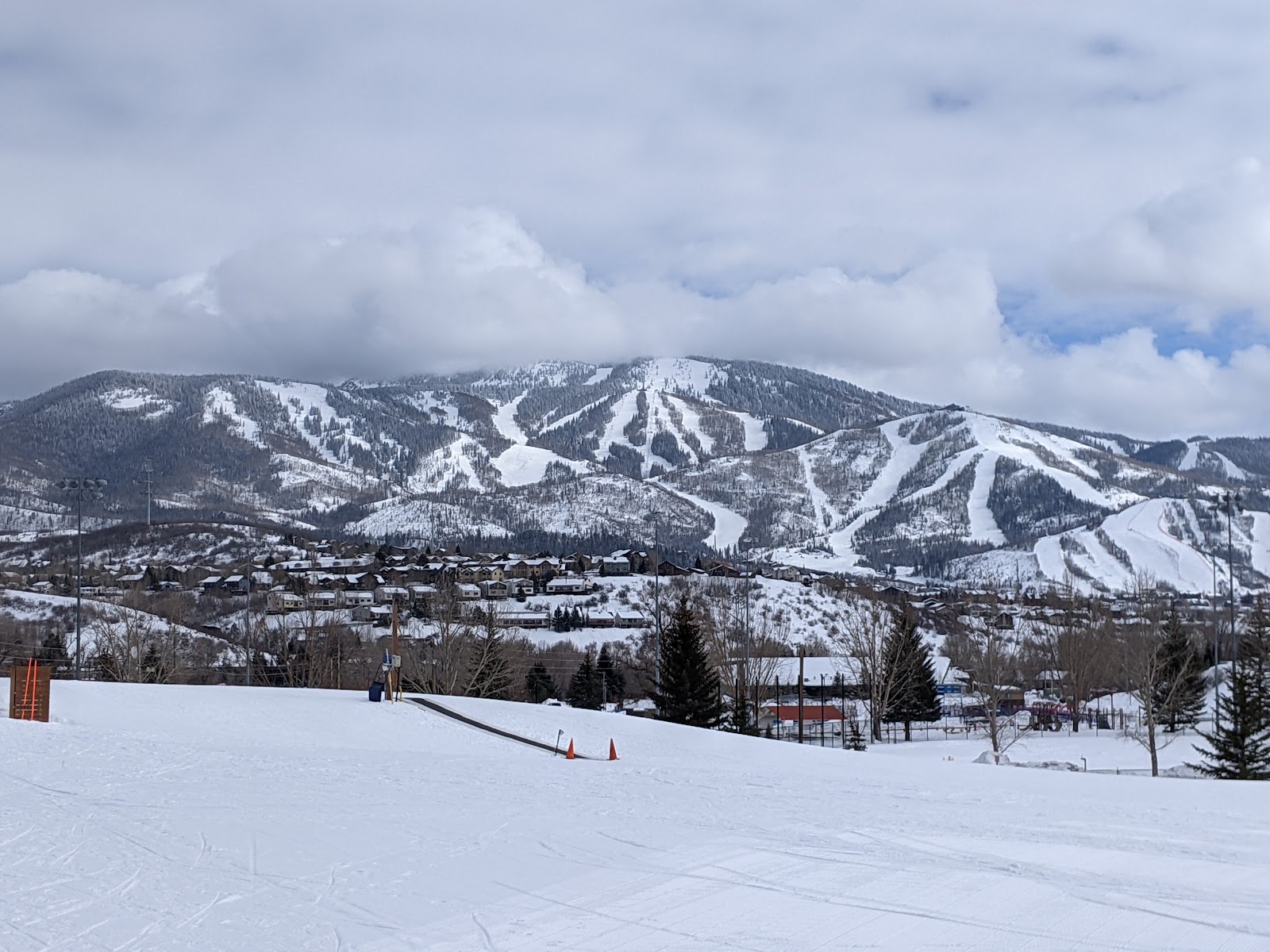 A skier dropping into well spaced aspen glades full of light powder at Steamboat