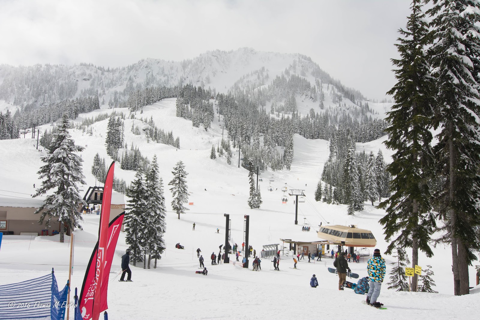 Snow laden trees and steep terrain under cloud at Stevens Pass in the Washington Cascades