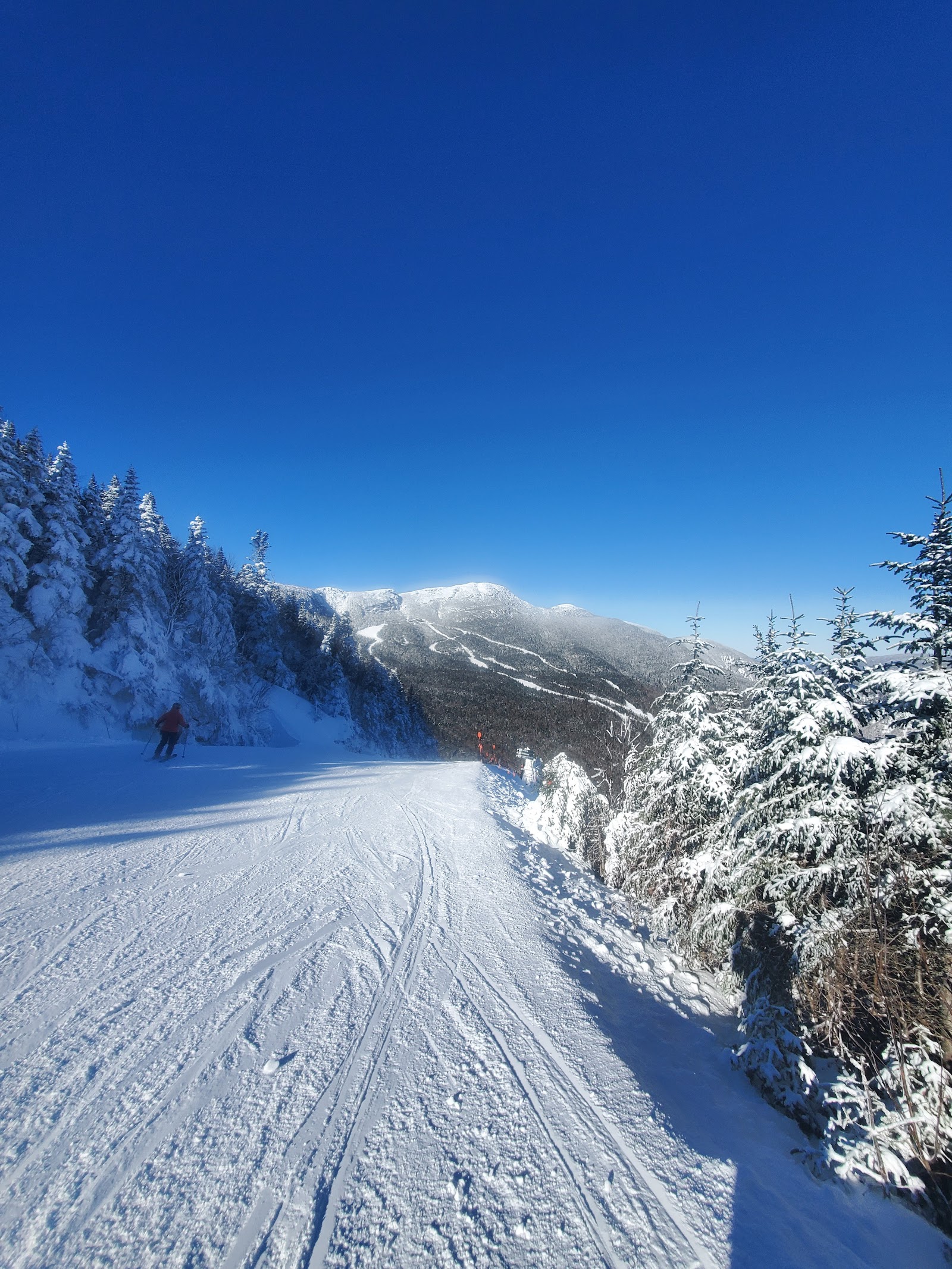 Tree skiing in the glades at Stowe Vermont