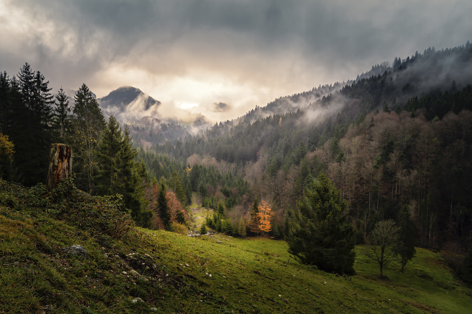 A chairlift rising over forested terrain at Sudelfeld