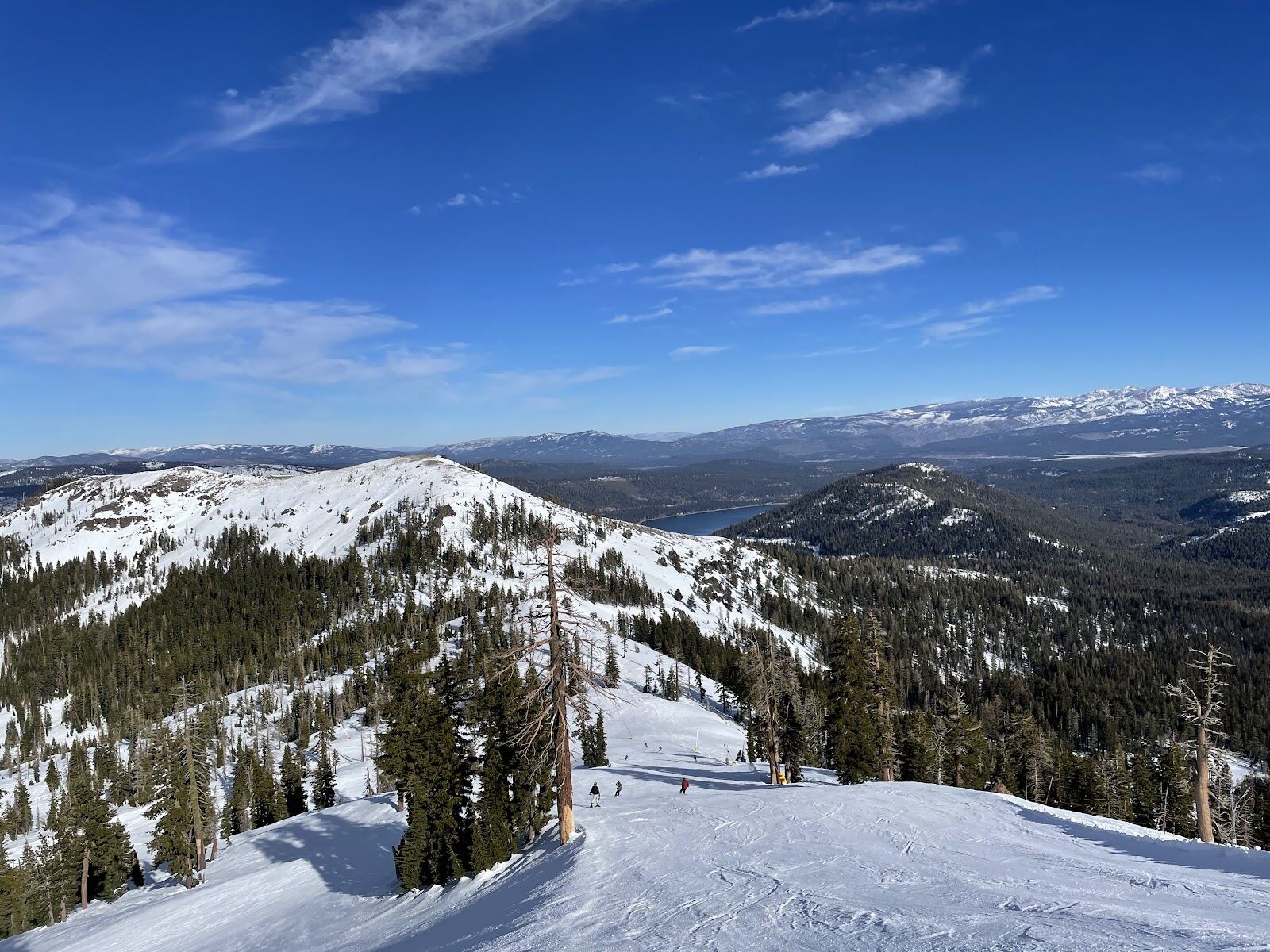 Deep fresh snow on the tree lined slopes at Sugar Bowl California