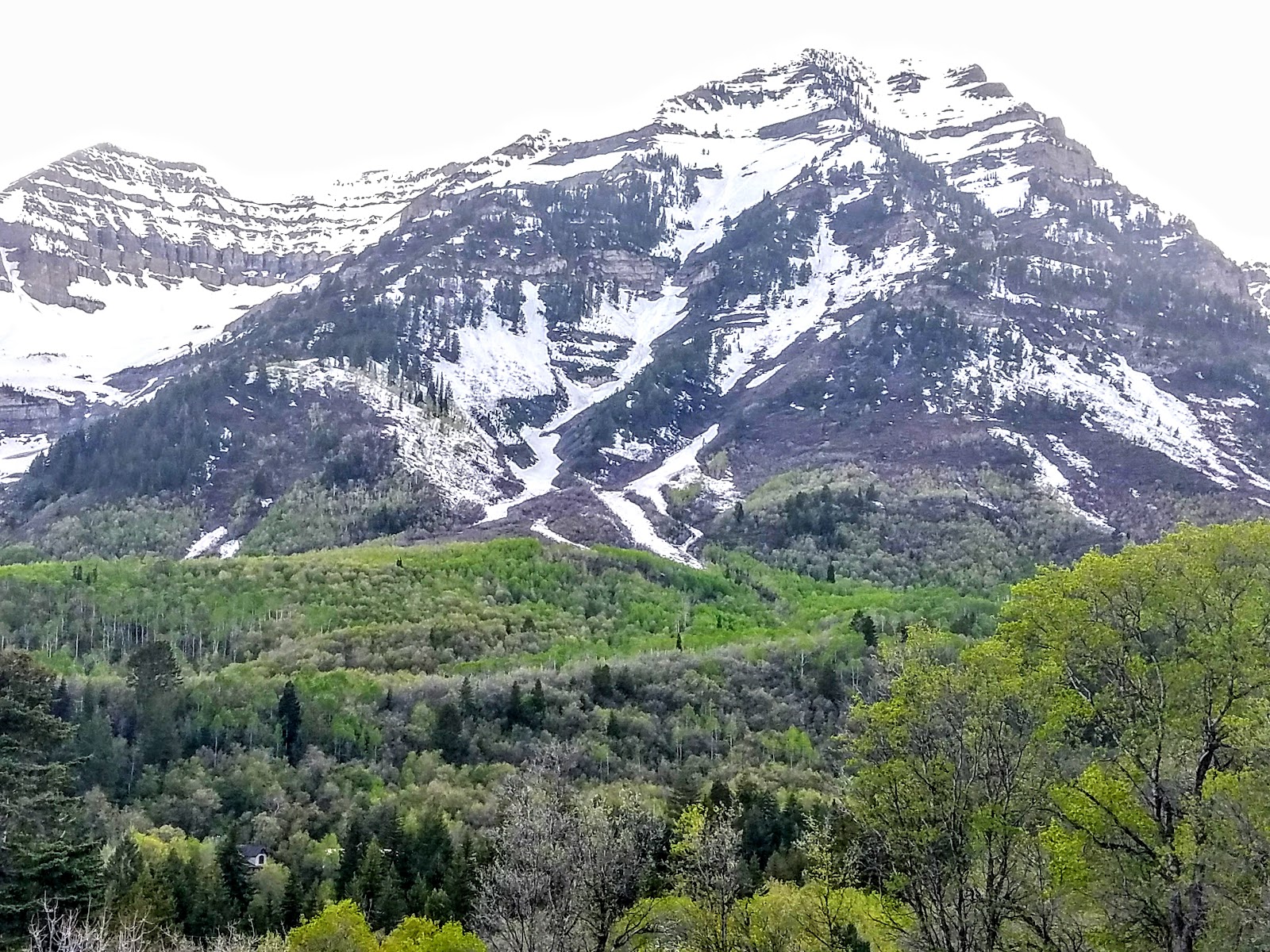 A skier carving quiet dry Utah snow on an uncrowded run at Sundance