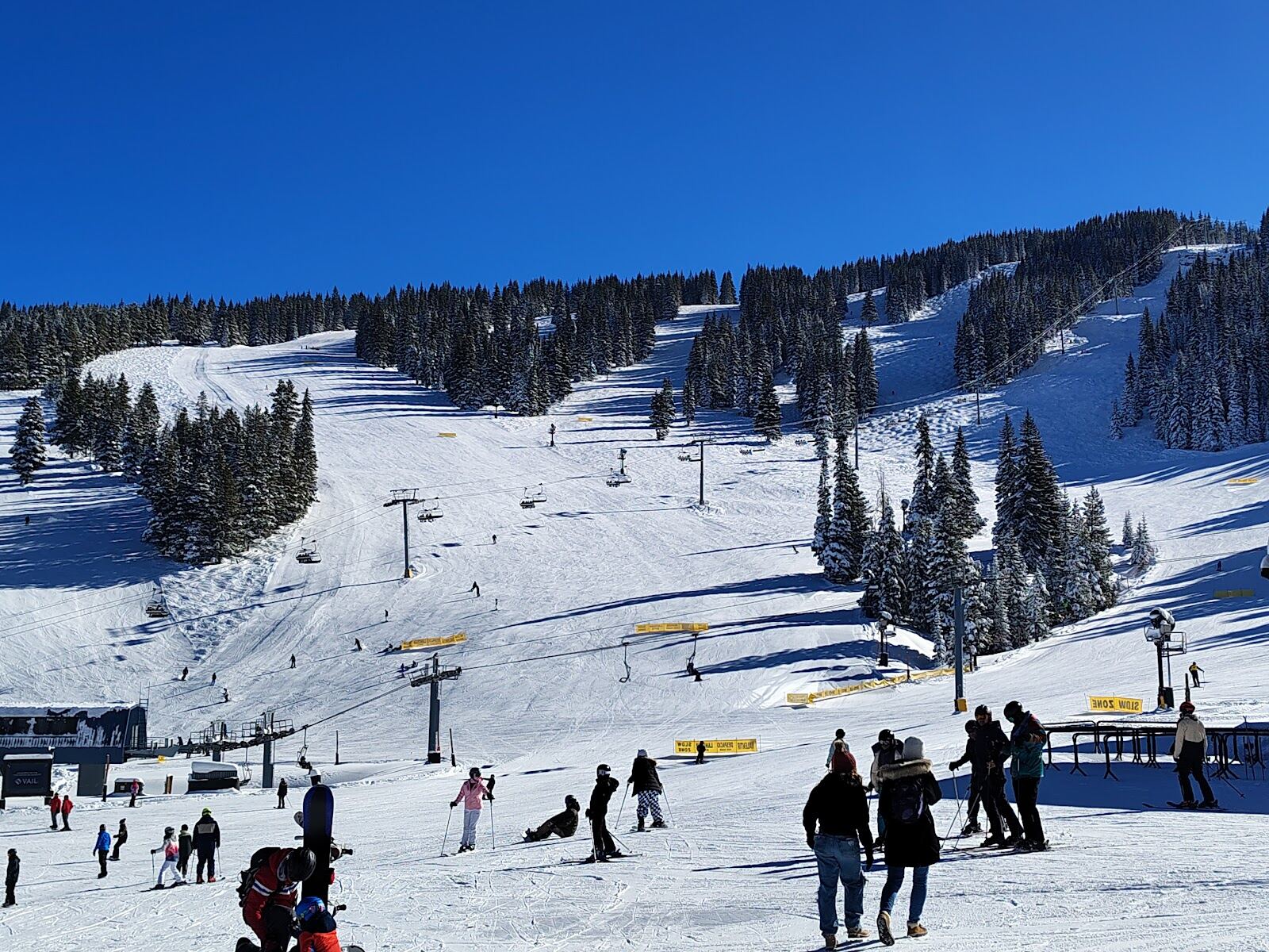The Back Bowls of Vail under deep Colorado powder