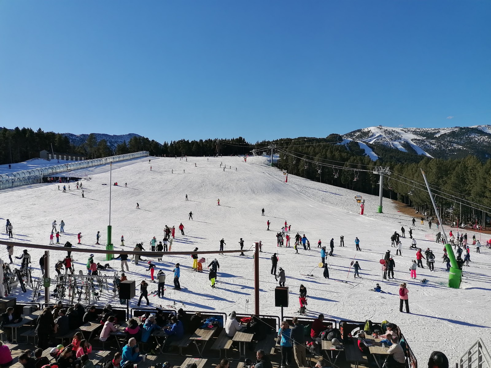 Snowy tree lined slopes at Vallnord Pal in Andorra