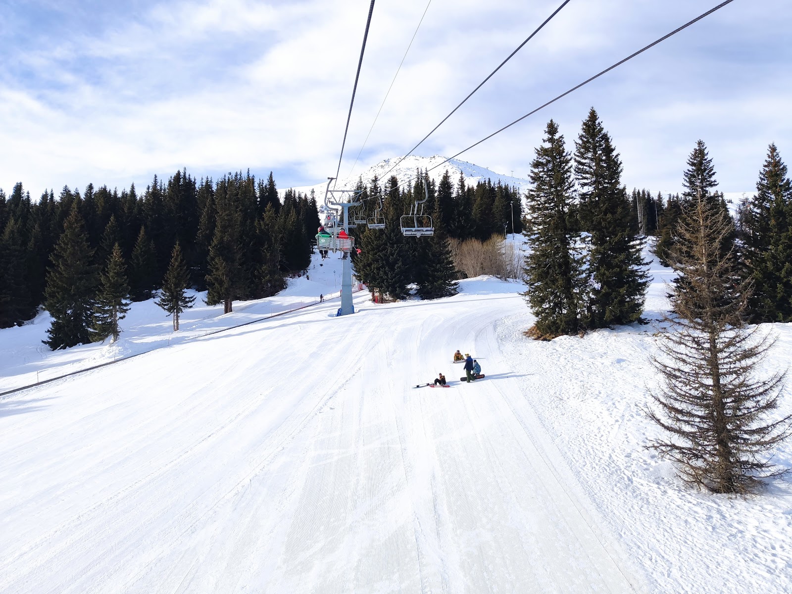 Skiers on a wide piste on Vitosha with conifer forest below
