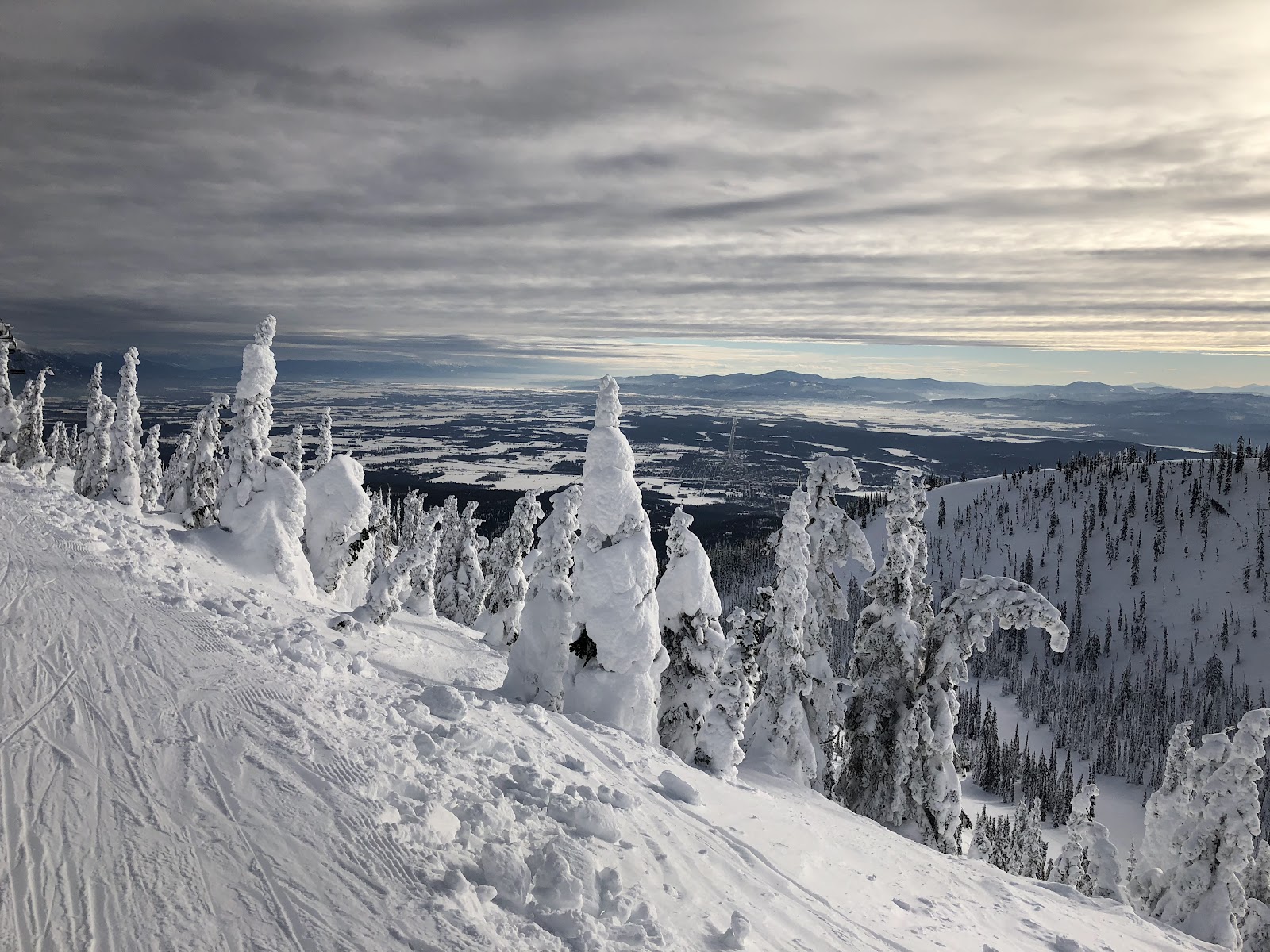 Skiers in the trees on a powder day at Whitefish