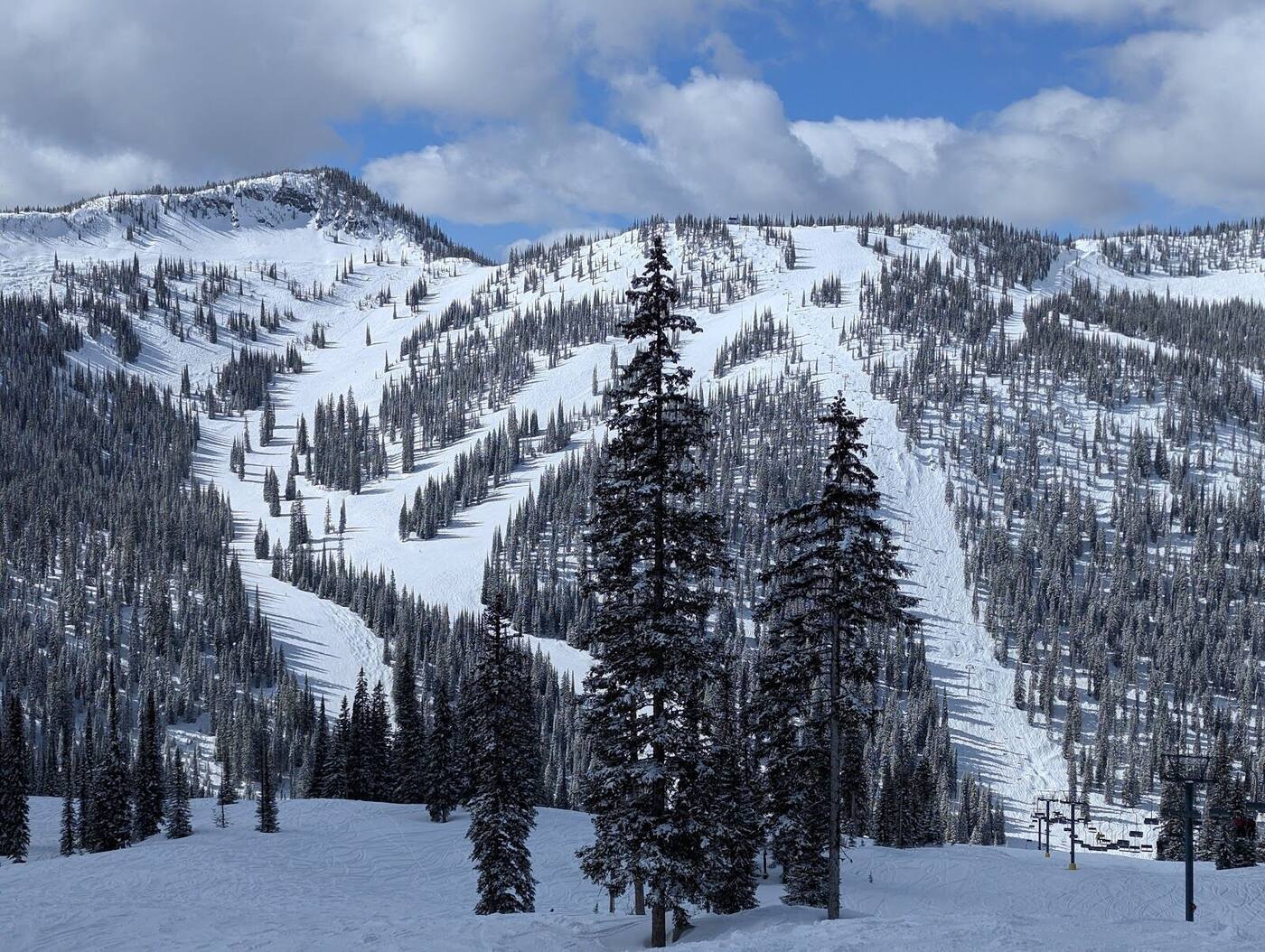 Deep powder and snow laden trees on the steep slopes of Whitewater British Columbia