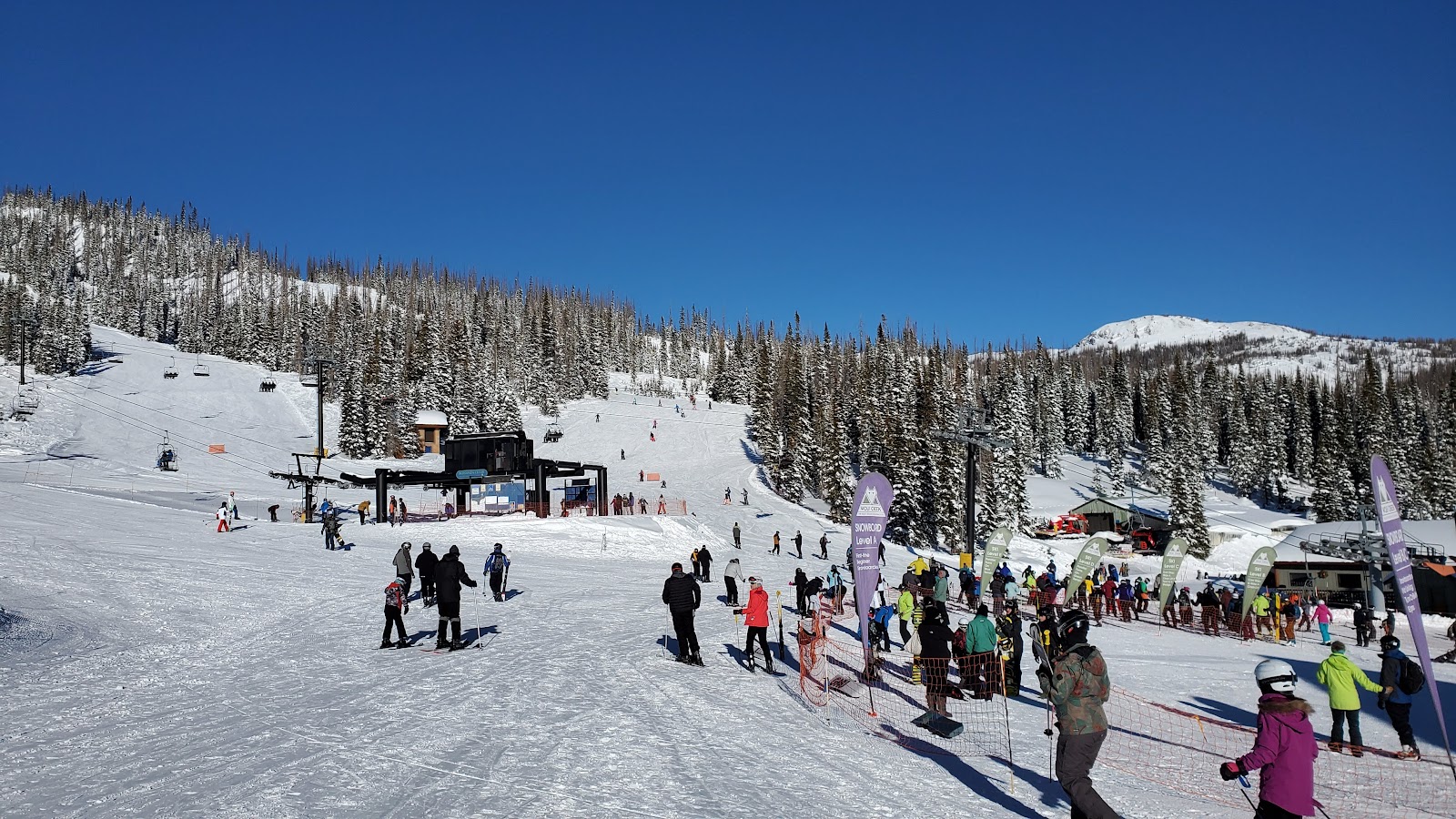 Deep powder snow on the forested slopes of Wolf Creek in southern Colorado