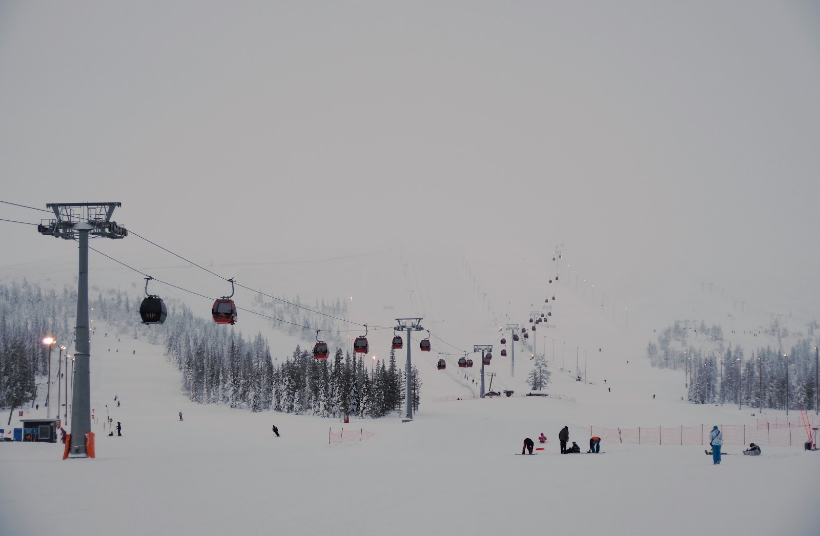 Snow laden spruce trees lining a gentle Lapland piste