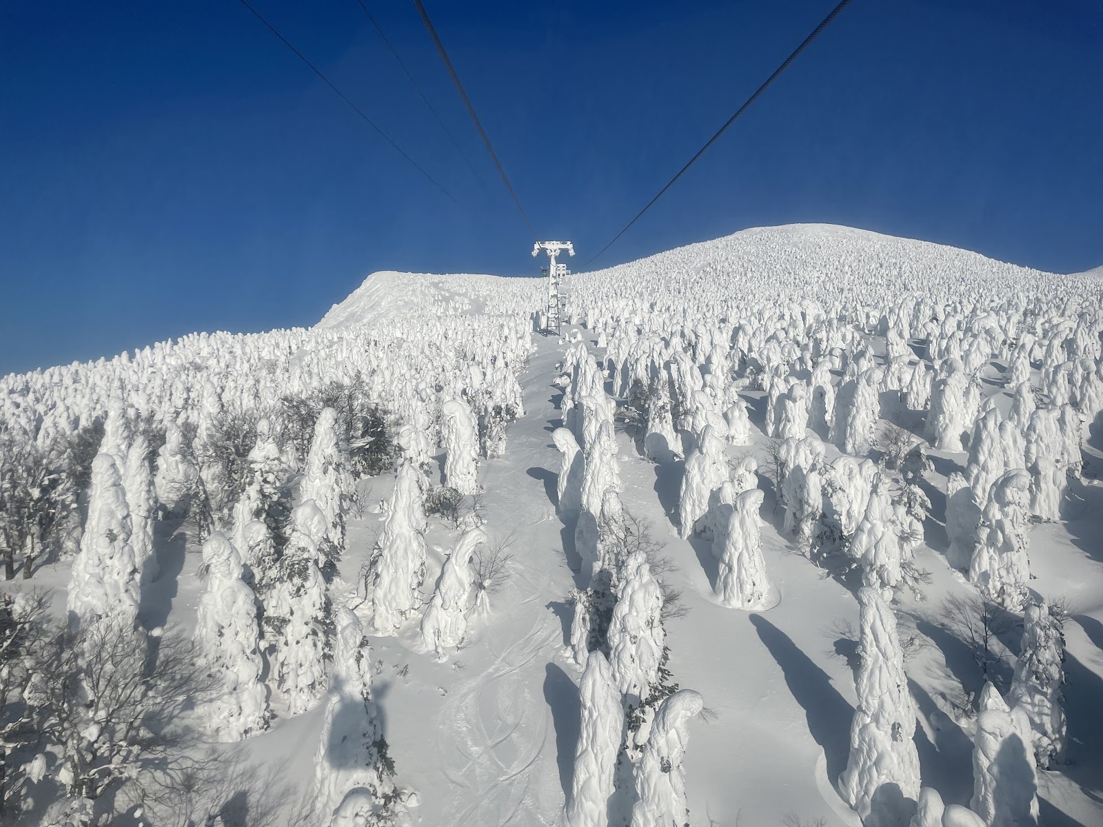 Frost covered snow monster trees on the upper slopes of Zao Onsen Japan